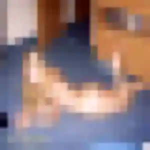 Photo privée de Iris, 21 ans à Auray - rencontre coquine