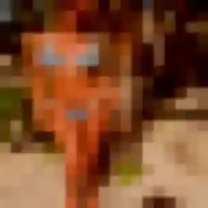 Profil de Lou-Anne à Baden (25 ans) - rencontre libertine anonyme