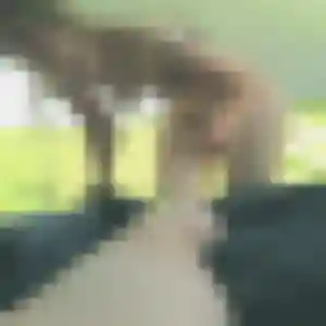 Ketty, femme de 19 ans veut rencontre libertine à Bassussarry