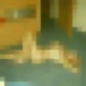 Candice, 33 ans, disponible à Beauvallon pour une rencontre coquine