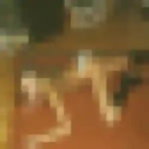 Noemie (38 ans) à Bellerive-sur-Allier cherche un rencontre libertine maintenant