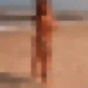 Geraldine, 33 ans, connectée à Boucau pour une rencontre coquine
