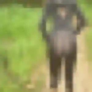 Photo de Anne-Sophie à Bouliac (38 ans) - rencontre libertine anonyme