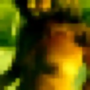 Contacte Helene, 45 ans à Bourgbarré gratuitement