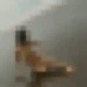 Wahiba, fille de 34 ans cherche rencontre libertine à Brantôme en Périgord