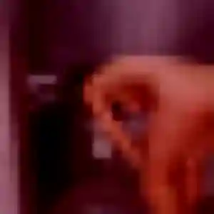 Sexy Diane, 44 ans à Brive-la-Gaillarde - voir sa photo