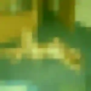 Photo perso de Hyacinthe, 26 ans à Châtellerault - rencontre coquine