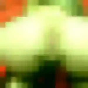 Photo sexy de Rebecca, 25 ans à Chauconin-Neufmontiers - rencontre sans lendemain