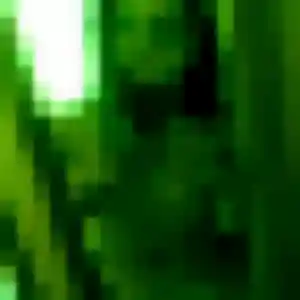 rencontre libertine à Chavagnes-en-Paillers : photo de Idalina, 38 ans - accès libre
