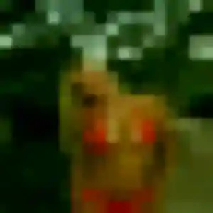 Joana, femme de 35 ans propose rencontre libertine à Cournonterral