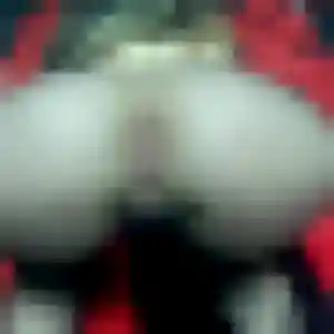 Photo de Bertille à Elliant (23 ans) - rencontre libertine gratuit