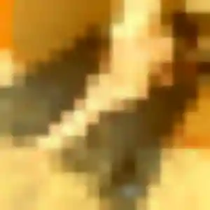 Marie-Ange, femme de 44 ans cherche rencontre libertine à Jonquières-Saint-Vincent