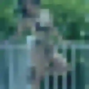 Candice, 23 ans, connectée à La Garnache pour une rencontre coquine
