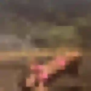 Sofia, femme de 42 ans propose rencontre libertine à La Guerche-sur-l'Aubois