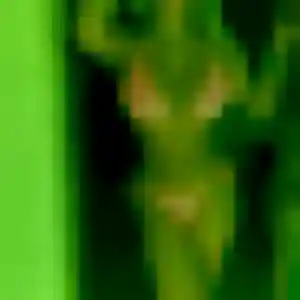 Severine, femme de 36 ans veut rencontre libertine à La Rochelle