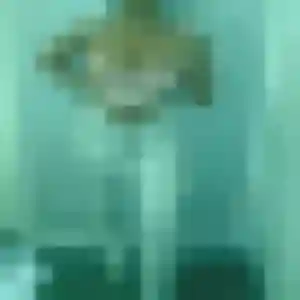 Photo de Ornella à Langueux (36 ans) - rencontre libertine gratuit