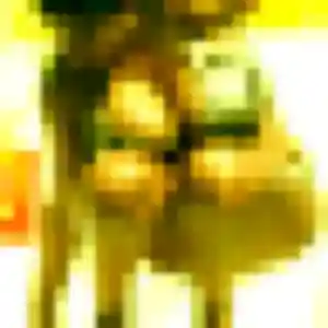 Photo de Lucienne à Lapalisse (41 ans) - rencontre libertine anonyme