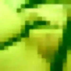 Eleonore, 45 ans, disponible à Lectoure pour une rencontre coquine