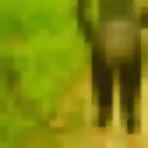 Belle Adelaide, 19 ans à Les Avenières Veyrins-Thuellin - découvrir son profil
