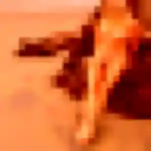 Vinciane, 37 ans, connectée à Melgven pour une rencontre coquine