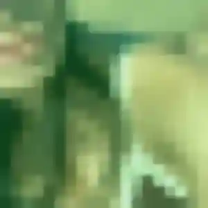 Photo privée de Ninon, 19 ans à Mondonville - rencontre coquine
