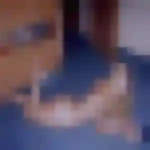 Photo de Capucine à Montreuil-Juigné (45 ans) - rencontre libertine gratuit