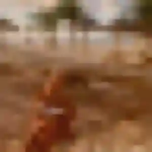 Florence, femme de 24 ans veut rencontre libertine à Neuville-aux-Bois