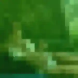Photo perso de Fleur, 45 ans à Nontron - plan discret