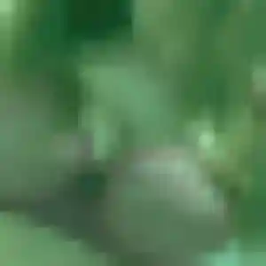 Touria, femme de 31 ans propose rencontre libertine à Pleumeleuc