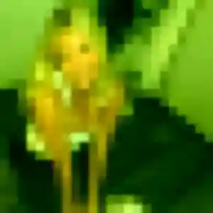 Chiara, 28 ans, disponible à Pontchâteau pour une rencontre coquine
