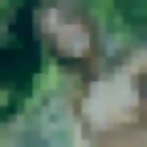 Photo exclusive de Violette, 26 ans à Quincy-Voisins - plan discret
