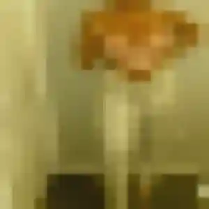 Jolie Alix, 35 ans à Rives-du-Loir-en-Anjou - la contacter