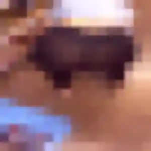 Sophie, femme de 39 ans propose rencontre libertine à Saint-Chef