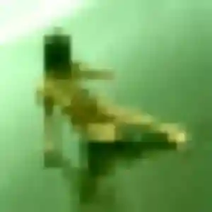 Photo de Helene à Saint-Germain-sur-Morin (22 ans) - rencontre libertine anonyme