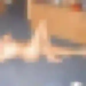 Photo sexy de Leontine, 32 ans à Saint-Grégoire - rencontre coquine