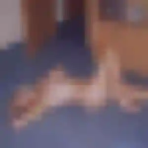 Photo de Natacha à Saint-Laurent-de-la-Salanque (45 ans) - rencontre libertine anonyme