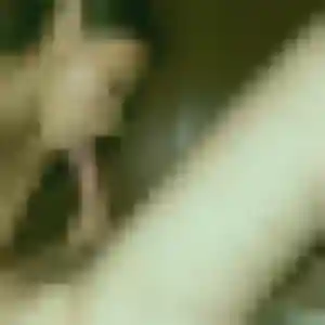 Judith, femme de 40 ans veut rencontre libertine à Saint-Maurice-de-Beynost