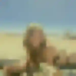 Noura, 37 ans, cherche un rencontre libertine à Saint-Rémy-lès-Chevreuse