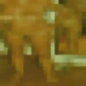 Photo perso de Maelys, 36 ans à Saint-Renan - rencontre coquine