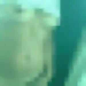 Photo privée de Rachel, 45 ans à Salindres - rencontre sans lendemain