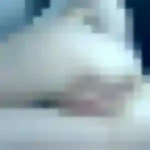 Jolie Sylvie, 25 ans à Saverdun - la contacter