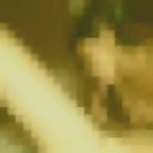 Profil de Perrine à Sète (33 ans) - rencontre libertine gratuit