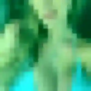 Laurence, femme de 41 ans cherche rencontre libertine à Sévérac d'Aveyron