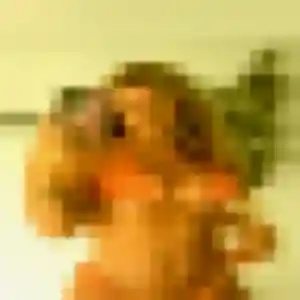 Photo de Margot à Valleiry (42 ans) - rencontre libertine gratuit