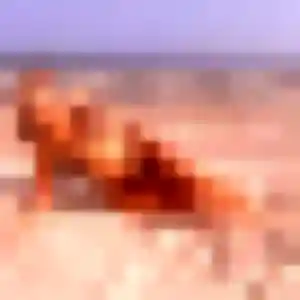 Valentina, femme de 42 ans cherche rencontre libertine à Verfeil