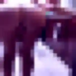 Sexy Gwendoline, 39 ans à Villemandeur - la contacter