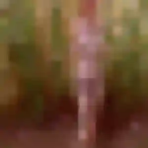 Christelle (37 ans) à Vivonne cherche un rencontre libertine rapidement