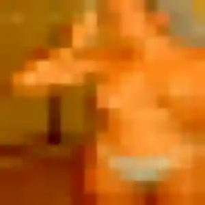 Renee, fille de 25 ans cherche rencontre libertine à Vivonne