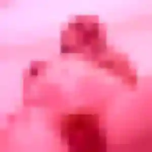 Photo exclusive de Elvire, 24 ans à Vizille - rencontre sans lendemain